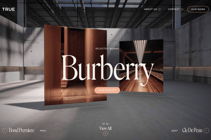 True Staging website preview